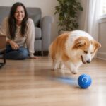 Orbina Self-Moving Dog Ball, avatar usage