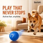 Orbina Self-Moving Dog Ball, desired outcome
