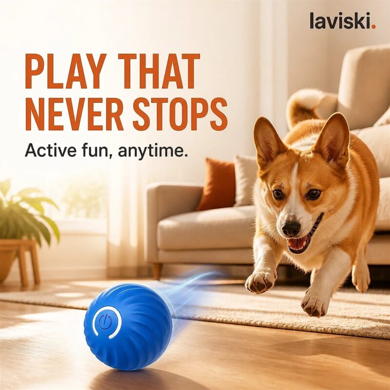 Orbina Self-Moving Dog Ball, desired outcome