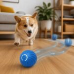 Orbina Self-Moving Dog Ball, solution / transformation