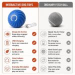 Orbina Self-Moving Dog Ball, comparison