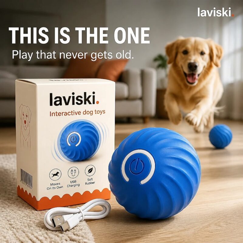 Orbina Self-Moving Dog Ball, closing hero