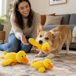 Quacka Squeaky Plush Duck, solution / transformation