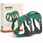 Ranova Padded Harness with Control Handle, main product hero