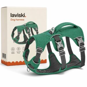Ranova Padded Harness with Control Handle, main product hero