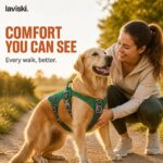 Ranova Padded Harness with Control Handle, desired outcome