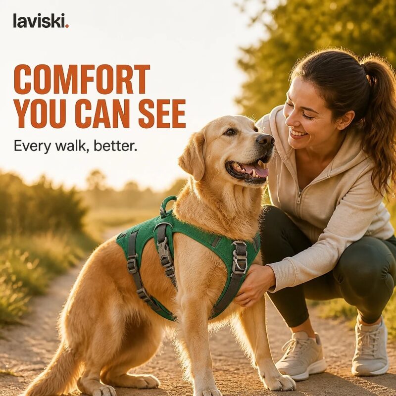 Ranova Padded Harness with Control Handle, desired outcome