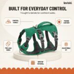 Ranova Padded Harness with Control Handle, feature showcase