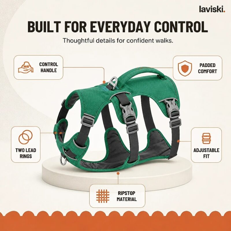 Ranova Padded Harness with Control Handle, feature showcase