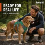 Ranova Padded Harness with Control Handle, trust / durability