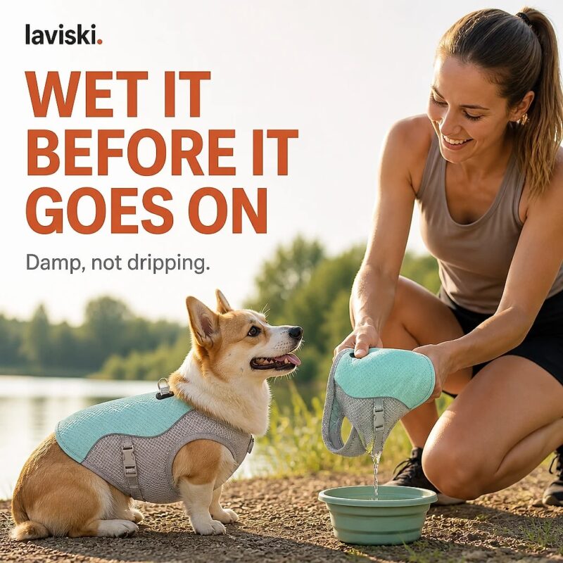 Refresca Soak-and-Wear Cooling Vest, desired outcome