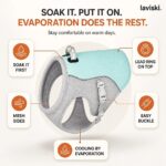 Refresca Soak-and-Wear Cooling Vest, feature showcase