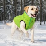 Reversa Reversible Winter Dog Vest, solution / transformation