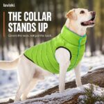 Reversa Reversible Winter Dog Vest, trust / durability