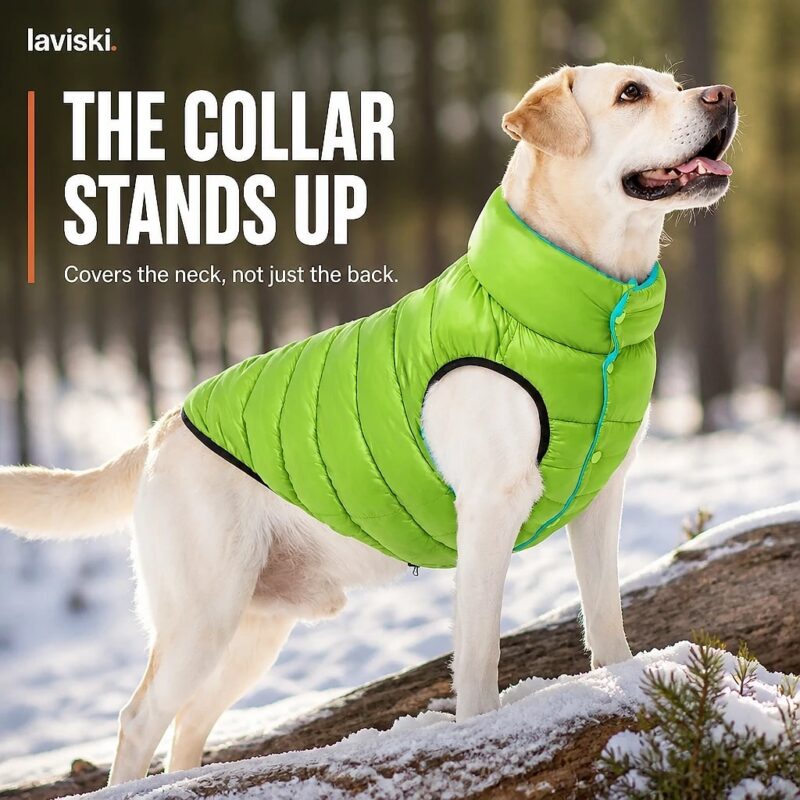 Reversa Reversible Winter Dog Vest, trust / durability