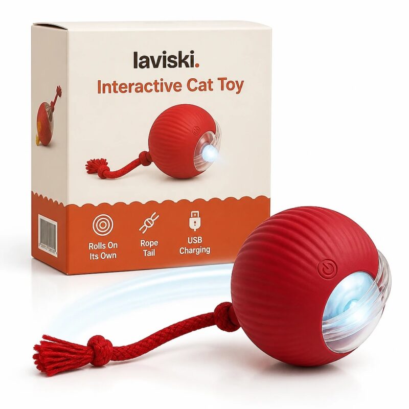 Rovia Self-Rolling Cat Ball, main product hero