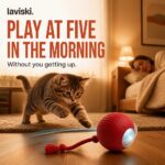 Rovia Self-Rolling Cat Ball, desired outcome
