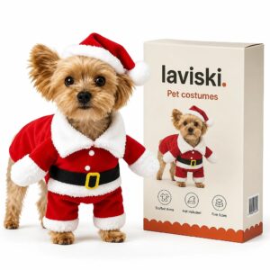 Santina Standing Santa Pet Costume, main product hero