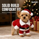 Santina Standing Santa Pet Costume, trust / durability