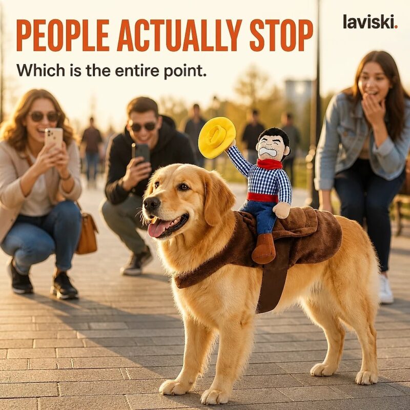 Sierra Cowboy Rider Dog Costume, desired outcome