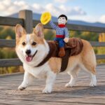 Sierra Cowboy Rider Dog Costume, solution / transformation