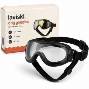Solaris Adjustable Dog Goggles, main product hero