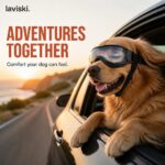 Solaris Adjustable Dog Goggles, desired outcome
