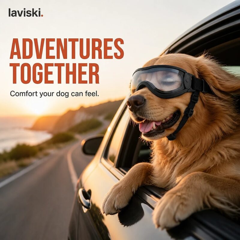 Solaris Adjustable Dog Goggles, desired outcome