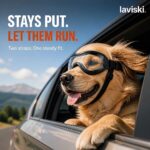 Solaris Adjustable Dog Goggles, trust / durability