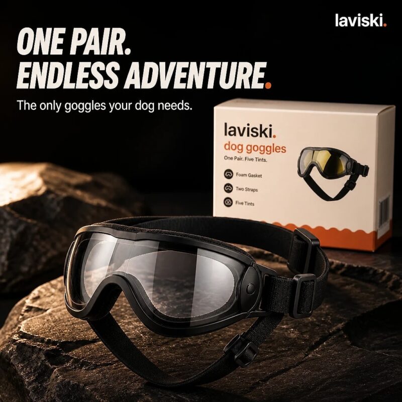 Solaris Adjustable Dog Goggles, closing hero