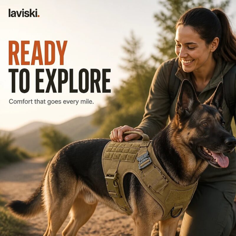 Valtra Tactical MOLLE Dog Harness, desired outcome