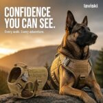 Valtra Tactical MOLLE Dog Harness, closing hero