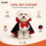 Vampira Satin Cape with Lace Collar, feature showcase