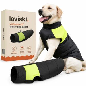 Vantra Waterproof Winter Dog Jacket, main product hero