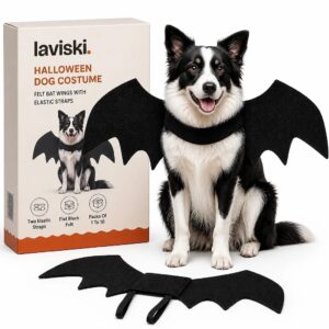 Vespera Felt Bat Wings for Dogs, main product hero