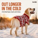 Yulora Reindeer Knit Dog Sweater, desired outcome
