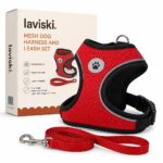 Zephira Mesh Dog Harness and Leash Set, main product hero