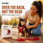 Zephira Mesh Dog Harness and Leash Set, desired outcome