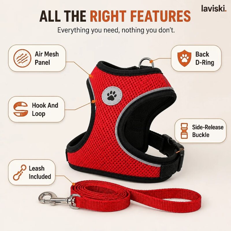 Zephira Mesh Dog Harness and Leash Set, feature showcase