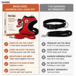 Zephira Mesh Dog Harness and Leash Set, comparison