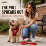 Zephira Mesh Dog Harness and Leash Set, trust / durability