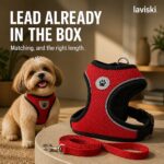 Zephira Mesh Dog Harness and Leash Set, closing hero